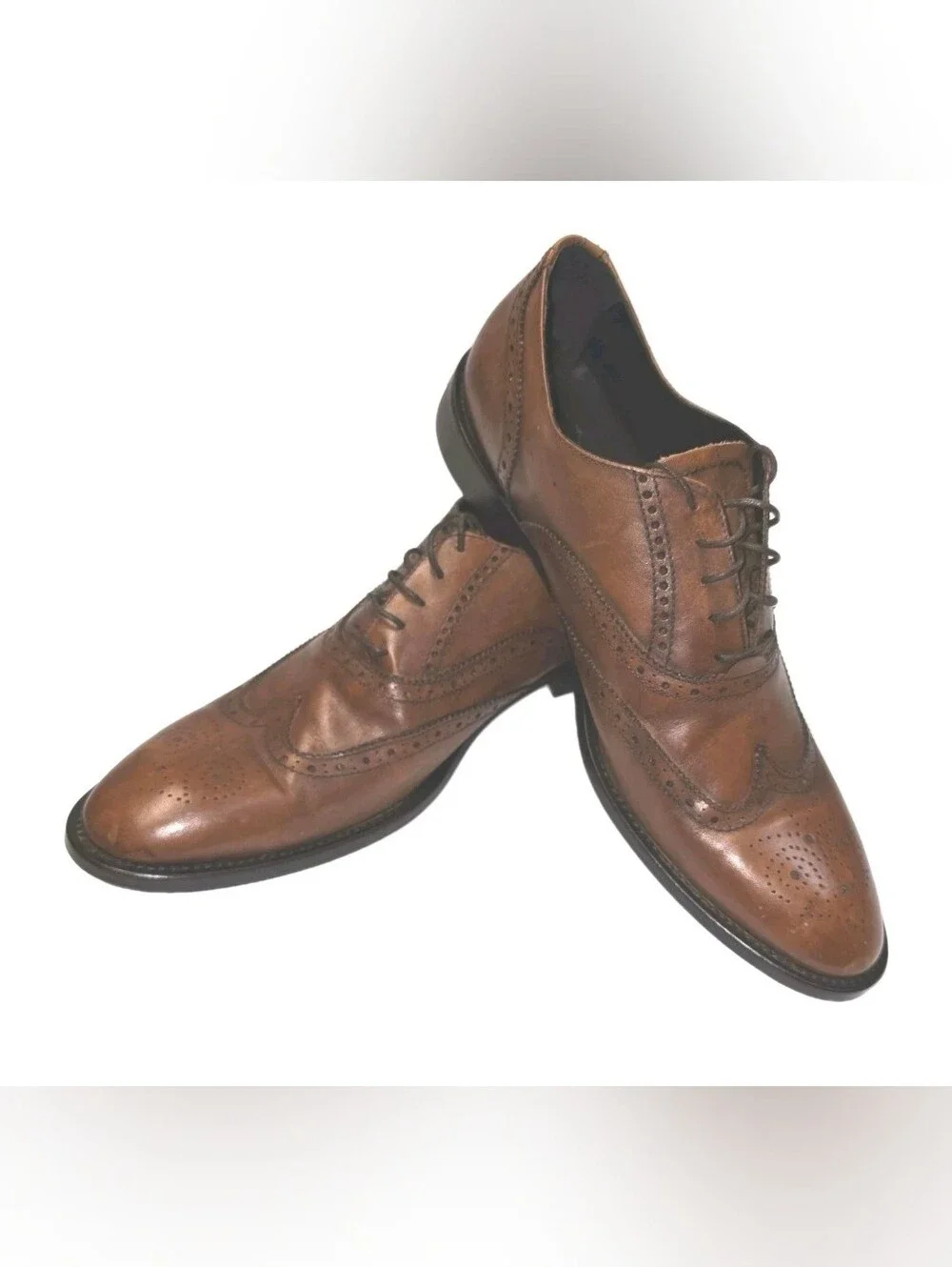 To Boot New York Wingtip Shoes Men's Size 13 Brown Leather Adam Derrick EUC